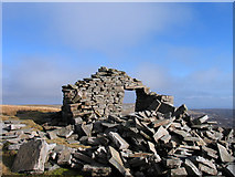 NY8124 : Ruin on summit ridge of Mickle Fell by Trevor Littlewood