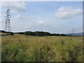 Fields near Pen-y-lan