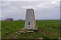 HY5607 : Triangulation pillar, Ward Hill, Deerness, Orkney by Claire Pegrum