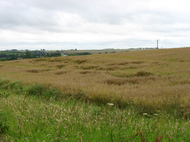 Fields south-east of Brington