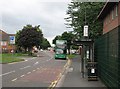 Meadows Way: Lammas Gardens bus stop