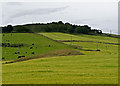 Farmland near Easter Lumbennie