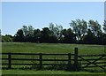 Farmland near Newbiggin by the Sea