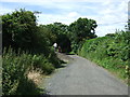 Lane by allotments, Lynemouth