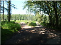 Upland path across Church Hill Common