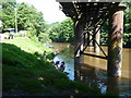 Paddlers under the Penallt Viaduct