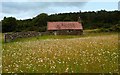 Old byre/cottage and field