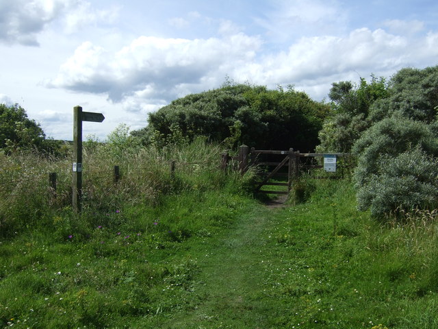 Path to Hauxley Nature Reserve