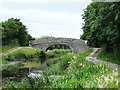 N3125 : Srah bridge on the Grand Canal, west of Tullamore, Co. Offaly by JP
