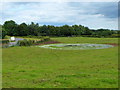 Small pond,  Croes Bychan near Raglan