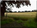 Footpath from Low Farm to Laurel Farm