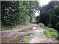 Track to Long Street, Williton