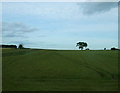 NU2202 : Farmland near Acklington by JThomas