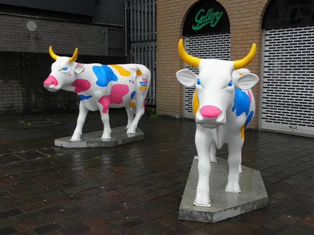 Cow sculptures, Omagh
