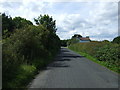 Hauxley Lane towards the A1068