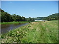 The English bank of the Wye below Bigsweir Bridge