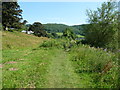 Riverside path near Brockweir