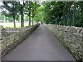 Path by Side of Rek, Golcar