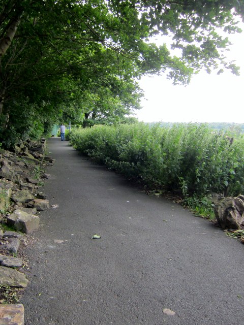 Path Towards Leymoor, Golcar