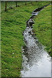 R4561 : Bunratty Park - Diverted Stream around Site #21 by Joseph Mischyshyn