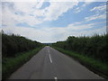 Tuxford Road towards Walesby