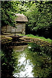 R4561 : Bunratty Park - Site #20 - Horizontal Mill - Upstream Inlet Pond by Joseph Mischyshyn