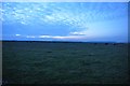ST2545 : West Somerset : Grassy Field & Cattle Grazing by Lewis Clarke