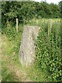 Trig pillar near Langton Wood north of Wigginton