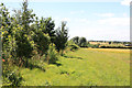 Towards Whinneymoor Farm