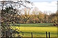 SU5414 : Meadow from the bottom of Gordon Road - Curdridge by Brian Chadwick
