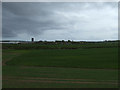 Farmland near Restonhill