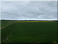 NT8961 : Farmland near Reston by JThomas