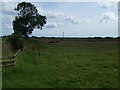 NU2308 : Farmland near High Buston by JThomas
