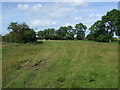 NU2208 : Farmland near High Buston by JThomas