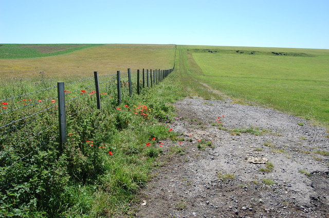 Footpath and Track towards New Barn
