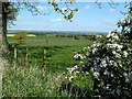 Farmland at Windywalls