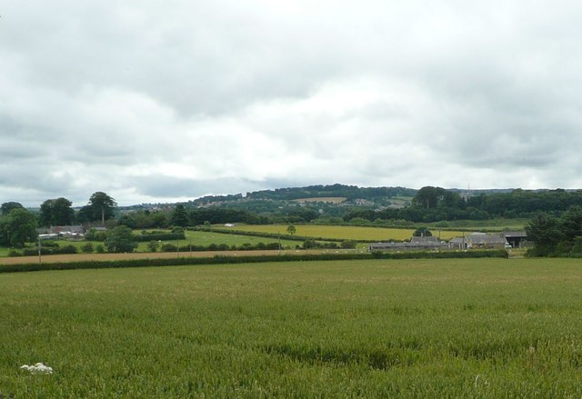 View across a wheatfield