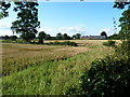 Farm buildings and ripening wheat at Spoonleygate