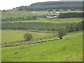 View across the Rumblie Burn and a windbreak plantation