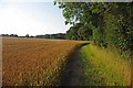 Footpath Nearing Noak Hill