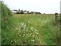 Flowery field entrance off Stockheld Lane