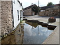 Pond alongside number 6 Broadwell, Dursley