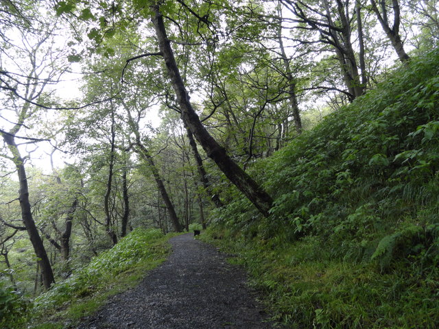 Old wagonway through the Causey Gill