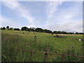 NS2601 : Farmland near Dalquharran by Billy McCrorie