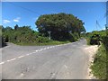 Road fork near Combeshead Copse