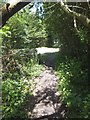 Path to the edge of Bouldnor Copse