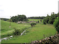 Bucolic Cotswold scene south of Pain