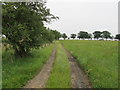 Track between Hen Gill and Lords Farm