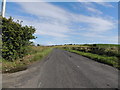 Road to Wallacetown near Capenoch Bridge