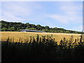 Farmland near Burnhead